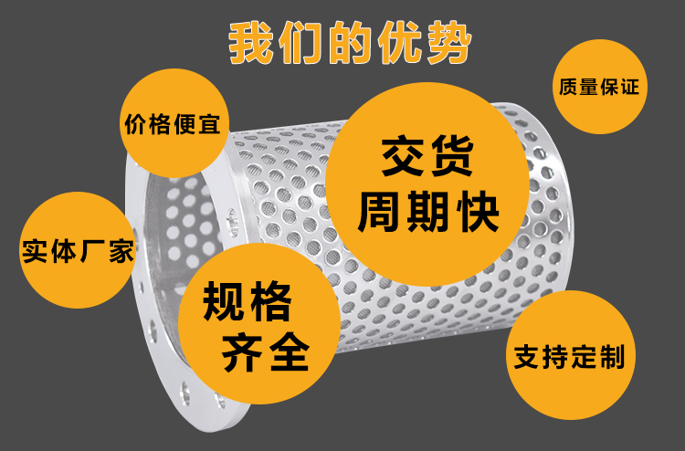 籃式過濾器濾籃_http://www.punjab24x7.com_不銹鋼過濾器_第4張